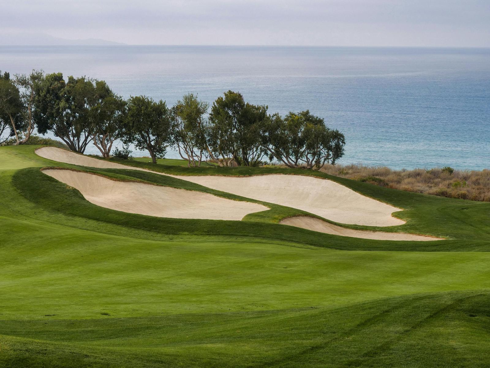 6748f11a7829cb73ebe5c623_golf